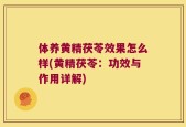 体养黄精茯苓效果怎么样(黄精茯苓：功效与作用详解)