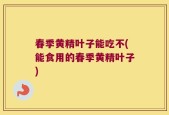 春季黄精叶子能吃不(能食用的春季黄精叶子)