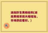 湖南野生黄精收购(湖南黄精采摘大幅增加，市场供应看好。)