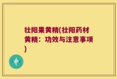 壮阳果黄精(壮阳药材黄精：功效与注意事项)
