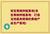 安吉黄精种植基地(安吉黄精种植基地：打造当地最具规模的黄精产品生产基地)