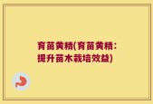 育苗黄精(育苗黄精：提升苗木栽培效益)