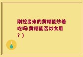 刚挖出来的黄精能炒着吃吗(黄精能否炒食用？)