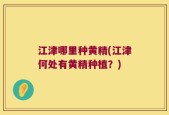 江津哪里种黄精(江津何处有黄精种植？)