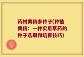 药材黄精参种子(种植黄精：一种实用草药的种子选取和培育技巧)