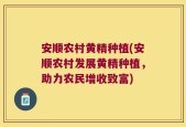 安顺农村黄精种植(安顺农村发展黄精种植，助力农民增收致富)