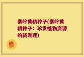 秦岭黄精种子(秦岭黄精种子：珍贵植物资源的新发现)