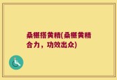 桑椹搭黄精(桑椹黄精合力，功效出众)