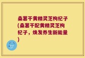 桑葚干黄精灵芝枸杞子(桑葚干配黄精灵芝枸杞子，焕发养生新能量)