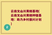 云南文山川黄精基地(云南文山川黄精种植基地：助力乡村振兴计划)