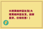 大理黄精种苗批发(大理黄精种苗批发，新鲜直供，价格优惠！)