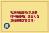 乳源黄精基地(乳源黄精种植基地：源自大自然的健康营养宝库)