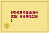 野外挖黄精直播(野外直播：探秘黄精之谜！)