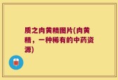 质之肉黄精图片(肉黄精，一种稀有的中药资源)