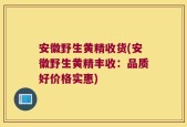 安徽野生黄精收货(安徽野生黄精丰收：品质好价格实惠)