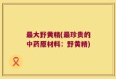 最大野黄精(最珍贵的中药原材料：野黄精)