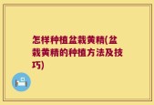 怎样种植盆栽黄精(盆栽黄精的种植方法及技巧)