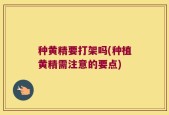 种黄精要打架吗(种植黄精需注意的要点)