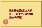 眉山黄精苗(眉山黄精苗——珍贵中药材的种植技术探秘)