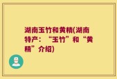 湖南玉竹和黄精(湖南特产：“玉竹”和“黄精”介绍)