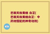 巴戟天和黄精 白芷(巴戟天和黄精白芷：中药材搭配的神奇功效)