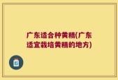广东适合种黄精(广东适宜栽培黄精的地方)