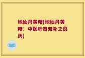 地仙丹黄精(地仙丹黄精：中医肝肾双补之良药)