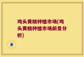 鸡头黄精种植市场(鸡头黄精种植市场前景分析)