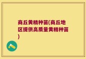 商丘黄精种苗(商丘地区提供高质量黄精种苗)