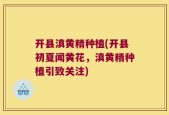 开县滇黄精种植(开县初夏闻黄花，滇黄精种植引致关注)