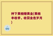 种下黄精赚黄金(黄精丰收季，收获金色岁月)
