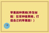 苹果园种黄精(养生秘籍：在家种植黄精，打造自己的苹果园！)