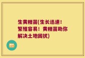 生黄精苗(生长迅速！繁殖容易！黄精苗助你解决土地困扰)