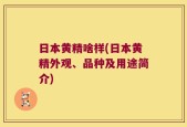 日本黄精啥样(日本黄精外观、品种及用途简介)