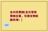 合川挖黄精(合川发现黄精古董，引爆文物收藏市场！)