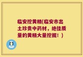 临安挖黄精(临安市出土珍贵中药材，绝佳质量的黄精大量挖掘！)
