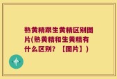 熟黄精跟生黄精区别图片(熟黄精和生黄精有什么区别？【图片】)