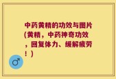 中药黄精的功效与图片(黄精，中药神奇功效，回复体力、缓解疲劳！)