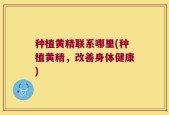种植黄精联系哪里(种植黄精，改善身体健康)