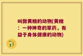 叫做黄精的动物(黄精：一种神奇的草药，有益于身体健康的动物)