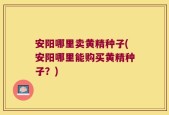 安阳哪里卖黄精种子(安阳哪里能购买黄精种子？)
