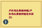 卢氏鸡头黄精种植(卢氏鸡头黄精种植技术简介)