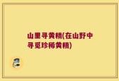 山里寻黄精(在山野中寻觅珍稀黄精)