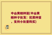 中山黄精种苗(中山黄精种子批发：优质种苗，支持小批量购买)