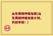 山东黄精种植加盟(山东黄精种植加盟计划，共创丰收！)