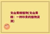 文山黄精植物(文山黄精：一种珍贵的植物资源)