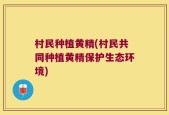 村民种植黄精(村民共同种植黄精保护生态环境)
