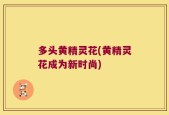 多头黄精灵花(黄精灵花成为新时尚)