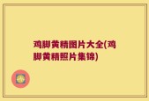 鸡脚黄精图片大全(鸡脚黄精照片集锦)