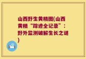 山西野生黄精图(山西黄精“踪迹全记录”：野外监测破解生长之谜)